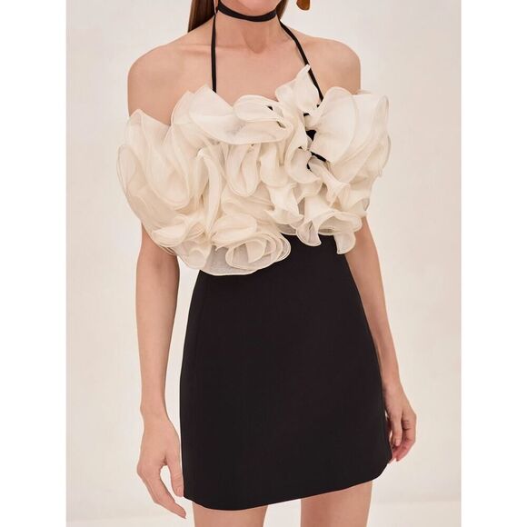 Alexis Aisha Dress L - Picture 2 of 11